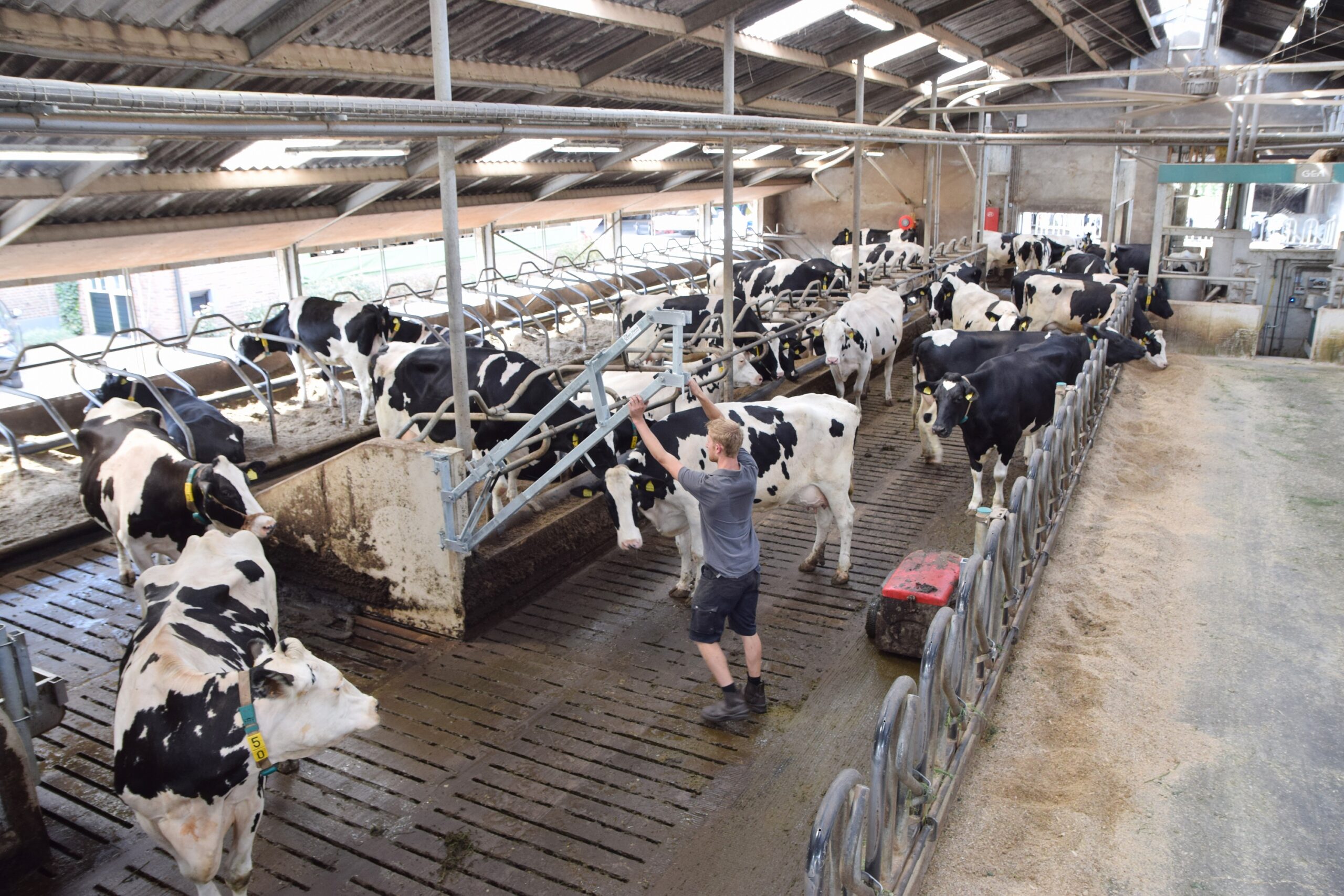 Slimme Slagboom Veehouderij Techniek